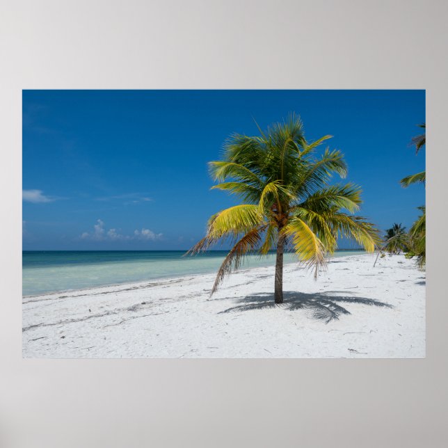 Cayo Blanco Beack in Cuba Poster (Vorne)