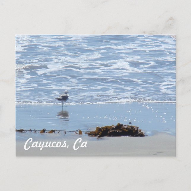 Cayucos Ca Postkarte (Vorderseite)