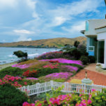 Cayucos California Puzzle<br><div class="desc">Dieses stilvolle Puzzle bietet eine schöne Blume, die gegen die Wellen in Cayucos, Kalifornien, blühen. Diese malerische kleine Strandstadt ist wirklich eine perfekte Szene des kleinen Küstenlebens, weit weg vom Verkehr und den Menschen der Bay Area und des Los Angeles Basin. Es liegt entlang der Pazifikküste Highway und sollte auf...</div>