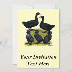 Cayuga Duck Einladung