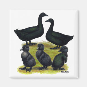 Cayuga-Enten-Familie Magnet
