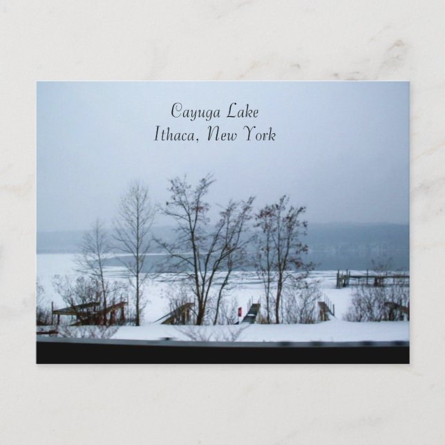 CAYUGA LAKE IN WINTER Postkarte (Vorderseite)