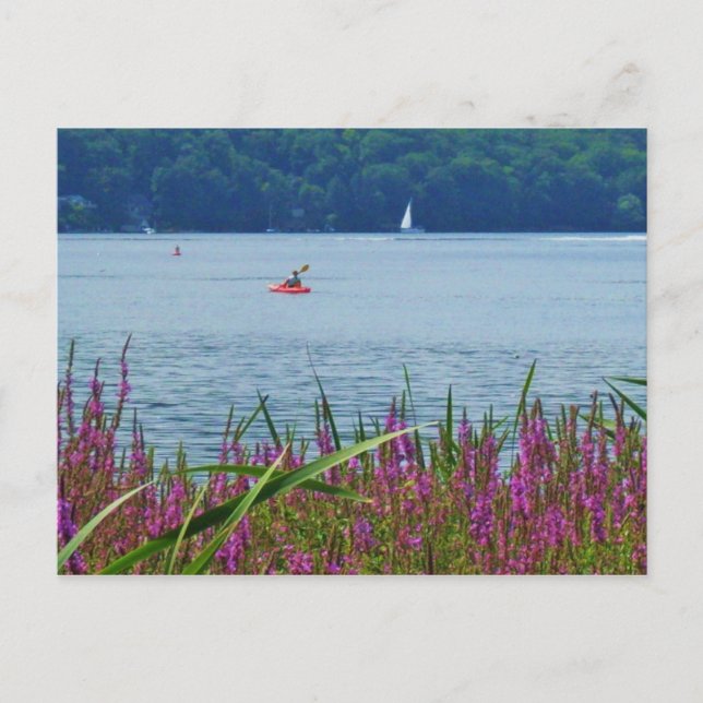 CAYUGA LAKE, ITHACA, N.Y. Postkarte (Vorderseite)