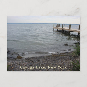 Cayuga Lake Rocky Beach Postkarte