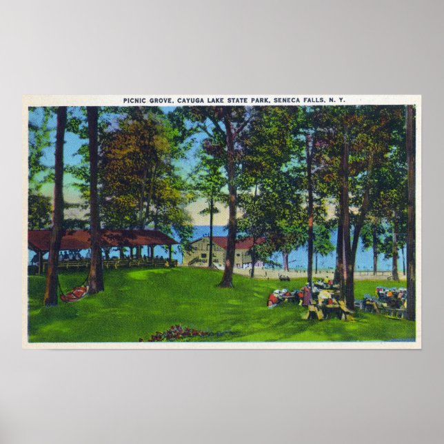 Cayuga Lake Staat Park Scene Poster (Vorne)