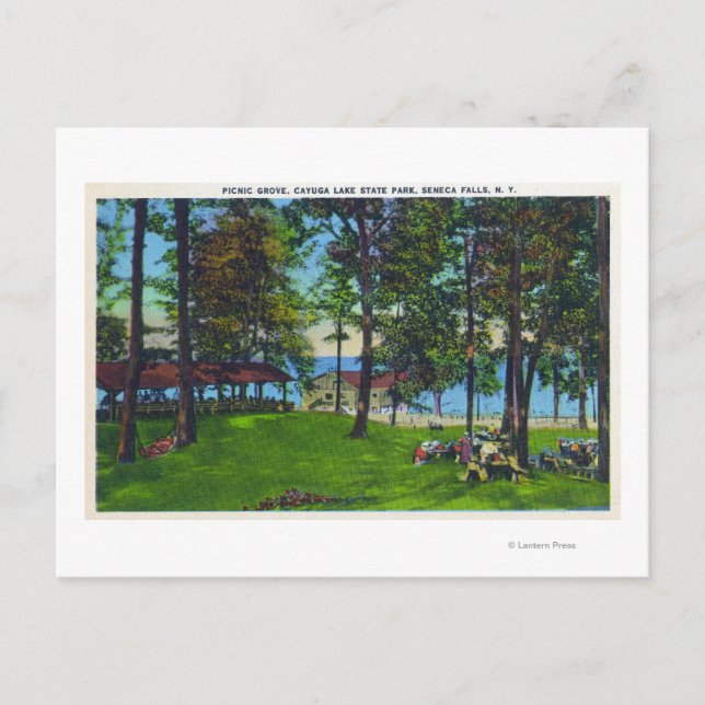 Cayuga Lake Staat Park Scene Postkarte (Vorderseite)
