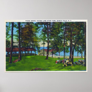 Cayuga See-Staats-Park-Szene Poster