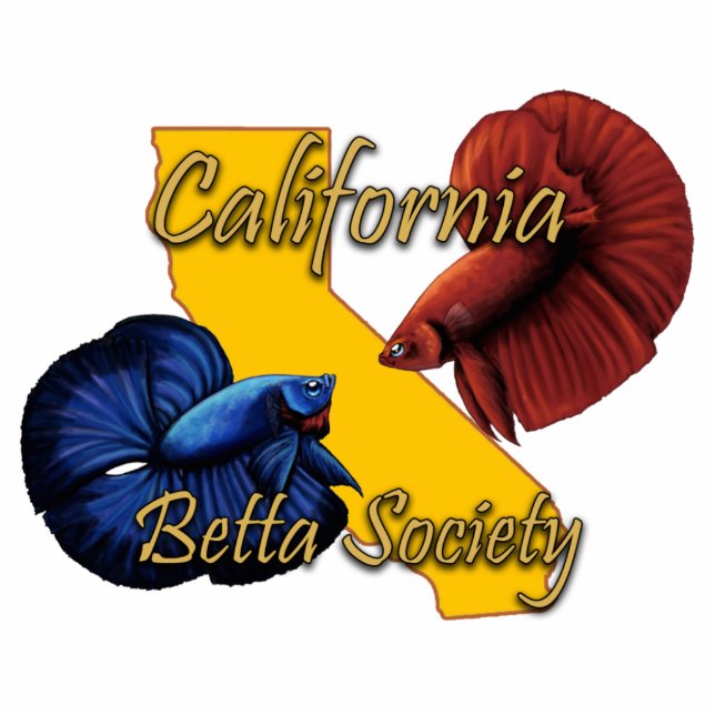 CBS-Magnet Fotoskulptur Magnet (Vorne)