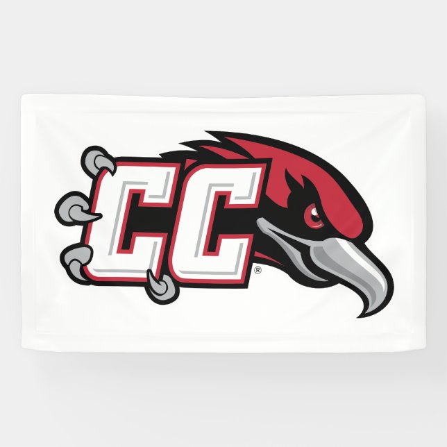 CC Thunderbird-Logo Banner (Horizontal)