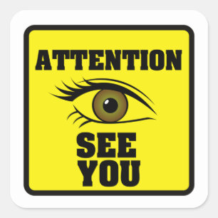 CCTV-Symbol NOTICE Vinyl Sticker