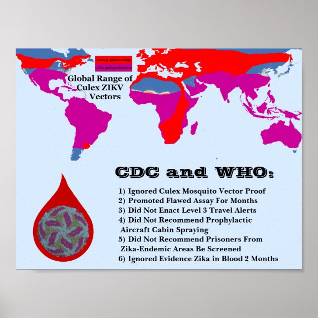 CDC & WHO Versagte, Bürger durch RoseWrites zu sch Poster (Vorne)