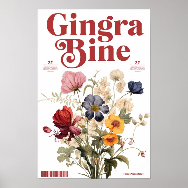 CDgingrabine Poster (Vorne)
