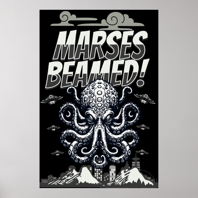 CDmaursesV Poster (Vorne)