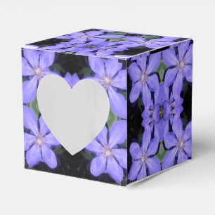 Cé sarine geschenkschachtel