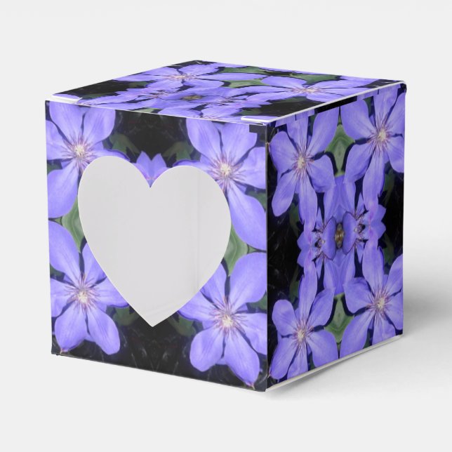 Cé sarine geschenkschachtel (Vorderseite)