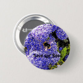 Ceanothus-Blume Button