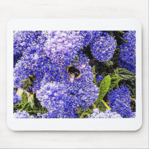Ceanothus-Blume Mousepad