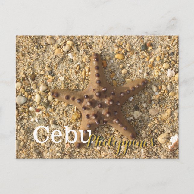 Cebu Philippines Brown Starfish Postkarte (Vorderseite)
