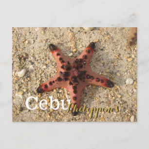 Cebu Philippines Tiger Starfish Postkarte
