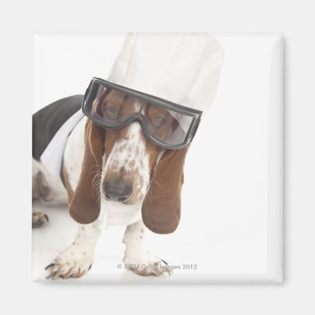 Cecelia Erhart Magnet (Vorne)