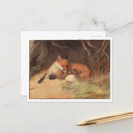 Cecil Aldin Postkarten