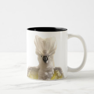 Cecil-Tasse Zweifarbige Tasse