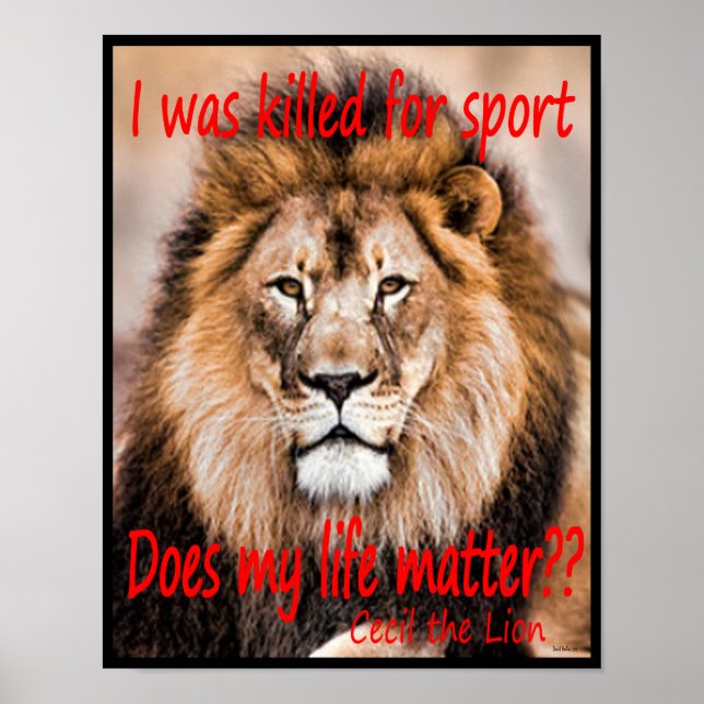 Cecil the Lion - Ich wurde für Sport getötet Poster (Vorne)