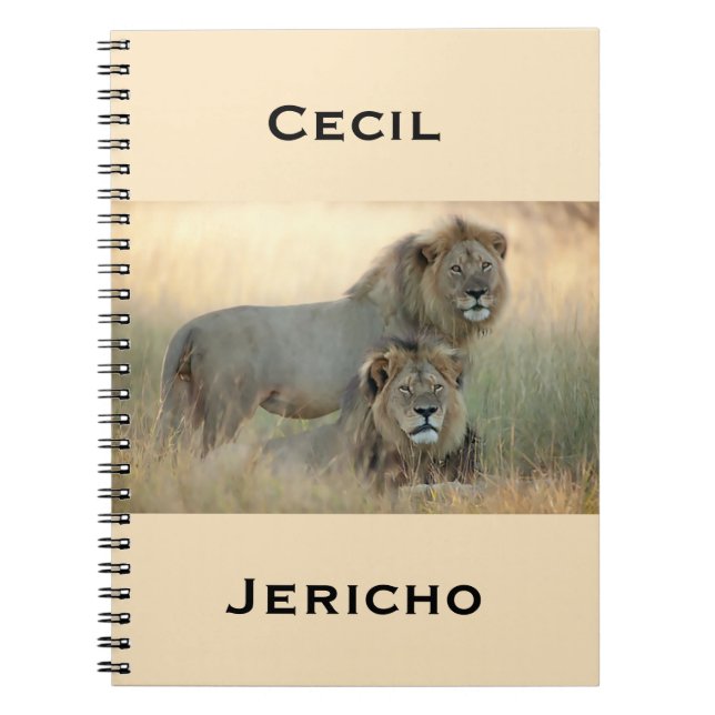 Cecil- u. Jericho-Bruder-Löwen von Afrika Notizblock (Vorderseite)
