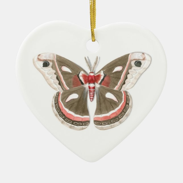 Cecropia Moth Ornament (Vorne)