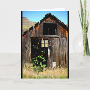 CEDA - HALLE - LEERE KARTE