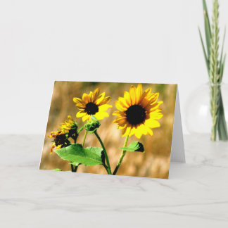 CEDA - SONNENBLUME - LEERE KARTE