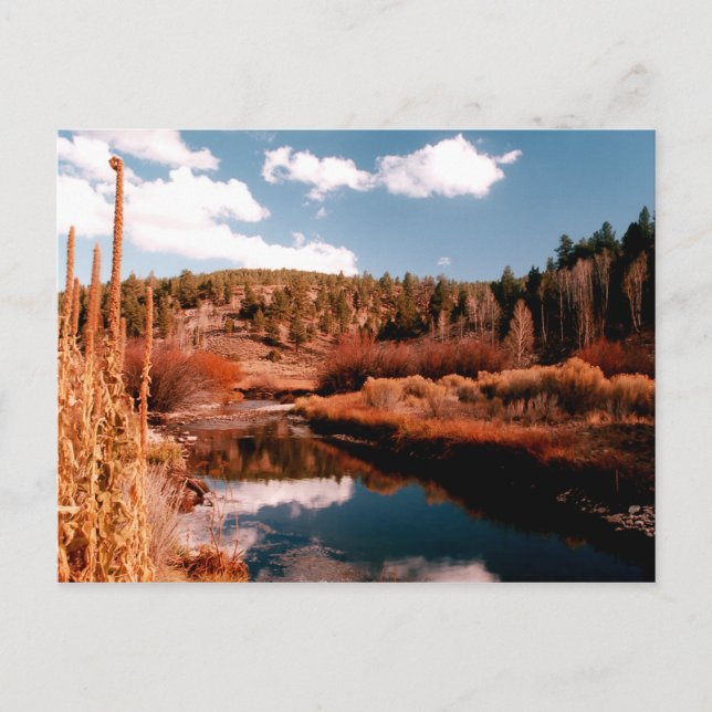 Cedar Breaks National Area, Utah Postkarte (Vorderseite)