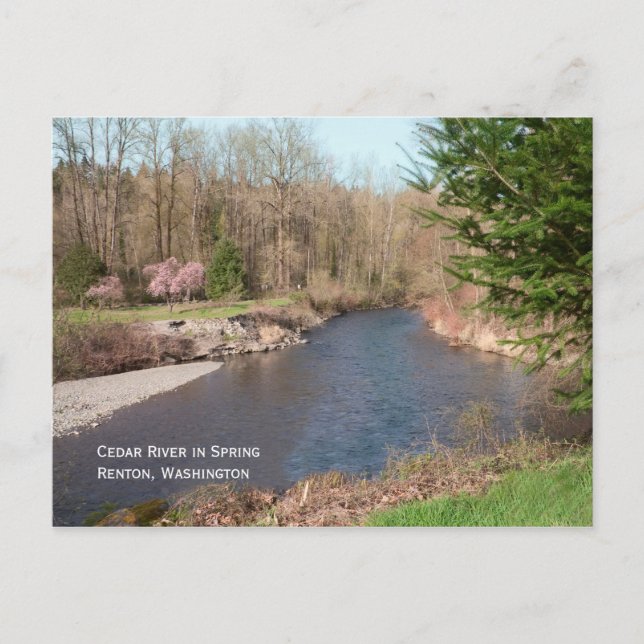 Cedar River Beach Postcard Postkarte (Vorderseite)