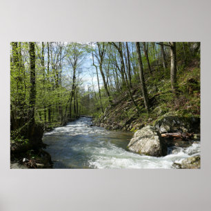 Cedar Run auf dem White Oak Canyon Poster