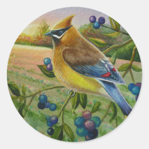 Cedar Waxwing Bird Blueberge Farm Kunst, Dichtung Runder Aufkleber