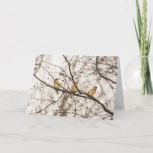 Cedar Waxwing Bird-Note-Karte Karte