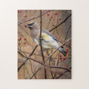 Cedar Waxwing Jigsaw Puzzle