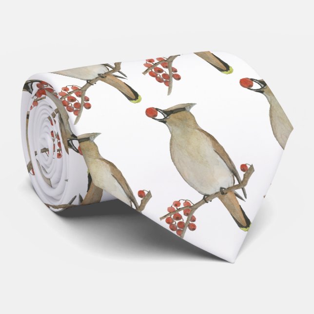 Cedar Waxwing Krawatte (Gerollt)