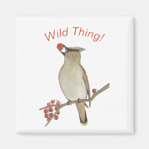 Cedar Waxwing Magnet