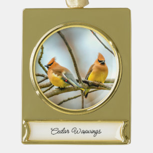 Cedar Waxwing - Original Foto Banner-Ornament Gold