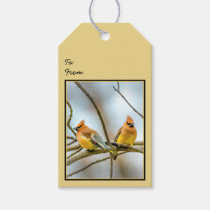 Cedar Waxwing - Original Foto Geschenkanhänger