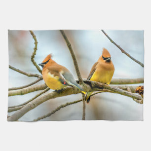 Cedar Waxwing - Original Foto Geschirrtuch