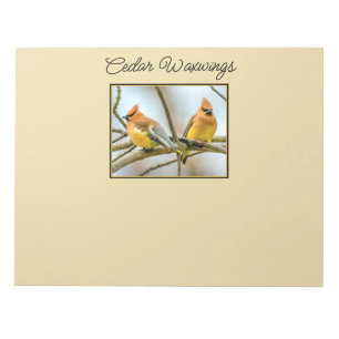 Cedar Waxwing - Original Foto Notizblock
