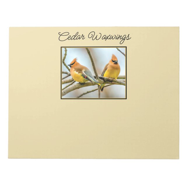 Cedar Waxwing - Original Foto Notizblock (Vorderseite)