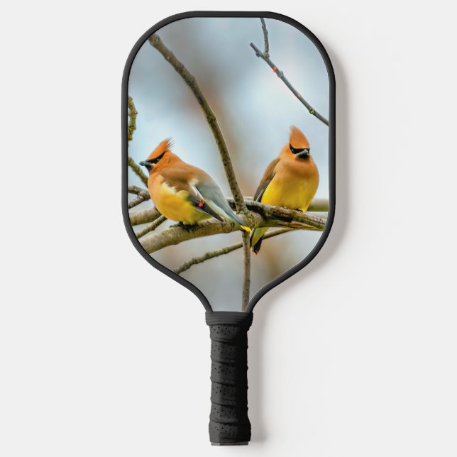 Cedar Waxwing - Original Foto Pickleball Schläger (Vorderseite)