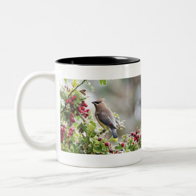 Cedar Waxwing, Peace, Liebe & Joffee Tasse (Links)
