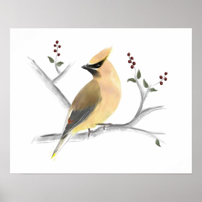 Cedar Waxwing Poster Print (Vorne)