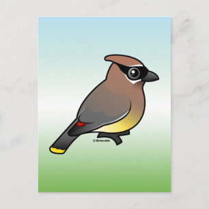 Cedar Waxwing Postkarte