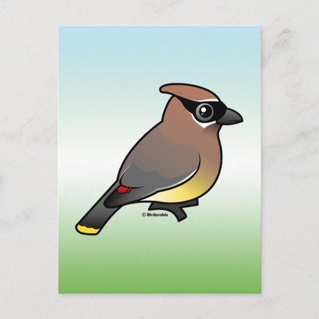 Cedar Waxwing Postkarte (Vorderseite)