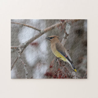 Cedar Waxwing Puzzle